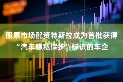 股票市场配资特斯拉成为首批获得“汽车隐私保护”标识的车企