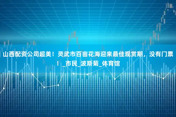 山西配资公司超美！灵武市百亩花海迎来最佳观赏期，没有门票！_市民_波斯菊_体育馆