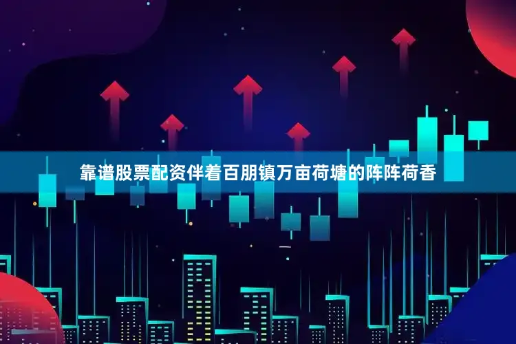 靠谱股票配资伴着百朋镇万亩荷塘的阵阵荷香