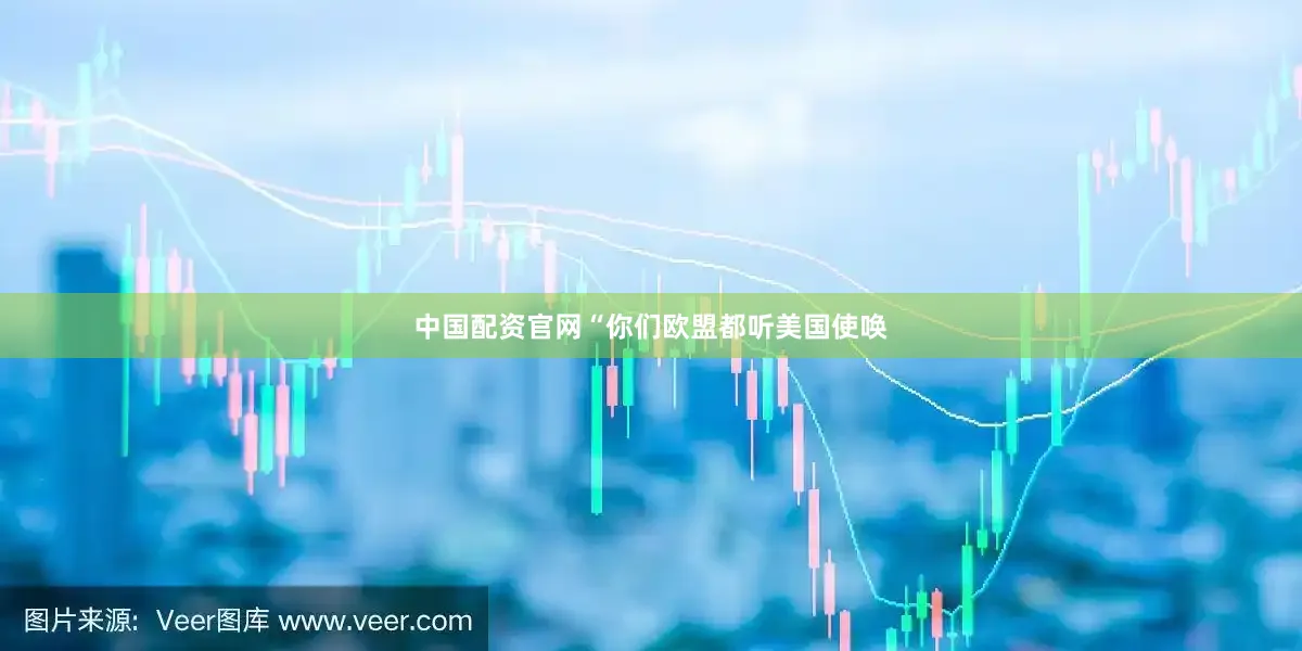中国配资官网“你们欧盟都听美国使唤