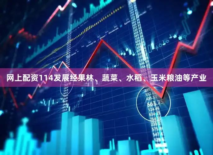 网上配资114发展经果林、蔬菜、水稻、玉米粮油等产业